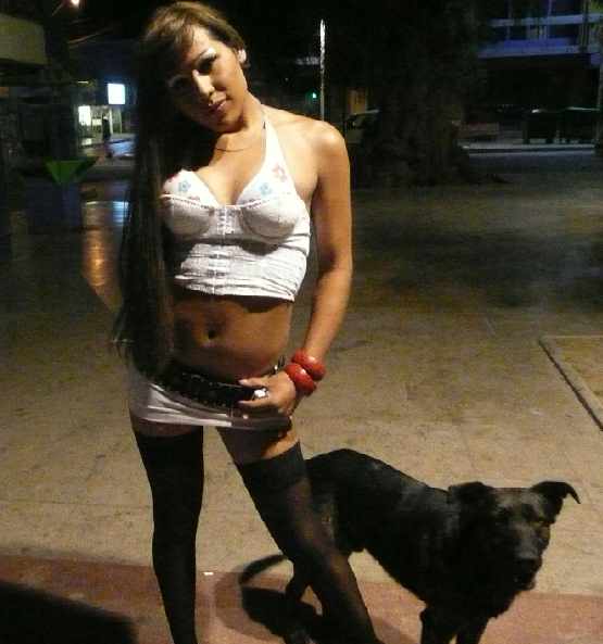 Prostitutes Copiapo